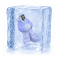ICE FIGURE